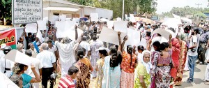 Landowners hold a demonstration in front of the Pradeshiya Sabha Tellipalai. Pic by  T. Premananth
