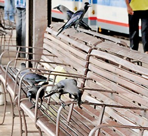 Commuter apathy has been partly responsible for the lack of hygiene at the  station