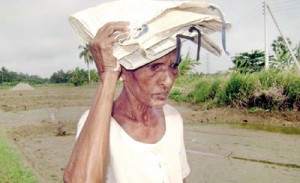 H.P. Babe: A widow sho hasnt received pension benefits for more than a year. Pix by Karuwalagawewa Jayarathne