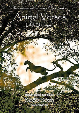 The-unseen-wilderness-of-Sri-Lanka----Animal-Verses