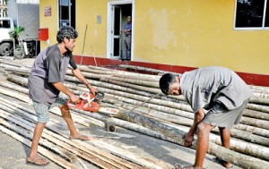 Getting ready to put up a pandal in Kirulapone. Pix by Susantha Liyanawatte