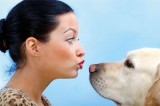 Dog owners have a healthier heart