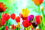Fun Spring Activities for the Classroom