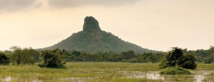 The path to Thoppigala: From batlleground to conservation.  Pix by Indika Handuwala