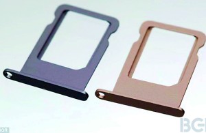 iPhone 5S colours: The SIM card trays appear to show handsets being made in   silver and gold