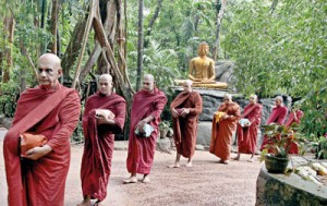 Monks wend their way with their alms bowls.  Pix by M.A. Pushpa Kumara