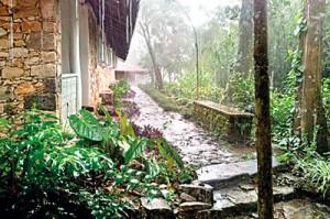 The Nilambe  Buddhist Meditation Centre