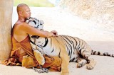 One man and his tiger