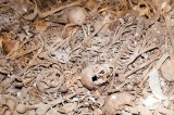 Palestinian victims of 1948 war found in mass grave in Tel Aviv