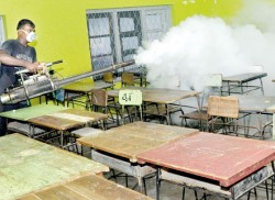 Schools fail dengue test