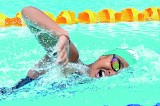 2590 swimmers on show