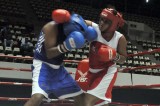 ABA Women’s Layton Cup Boxing