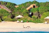 Exquisite Jungle Beach marks first anniversary