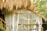 An eco-tourism dream An eco-tourism dream