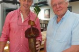 Borneo Exotics once again wins top award Borneo Exotics once again wins top award