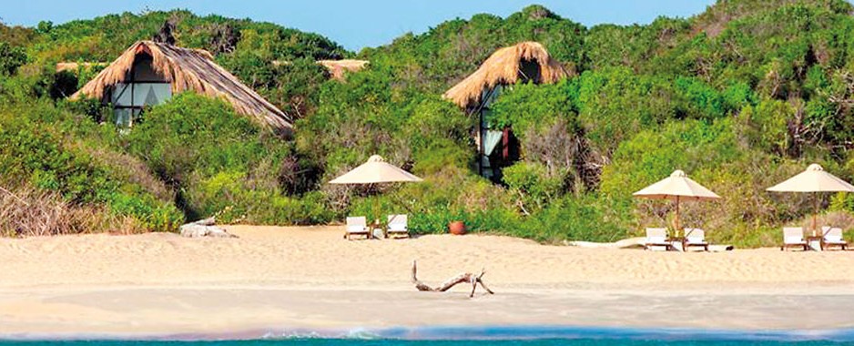 Exquisite Jungle Beach marks first anniversary