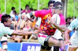 Sabaragamuwa Stallions jump the final hurdle