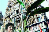 The pilgrims’ temple: Shri Arulmihu Sivasubramaniya Swamy Kovil