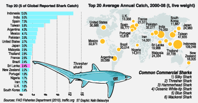 fishing lankan killers sundaytimes gillnet