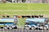 DCD in Milk: New Zealand a victim of its own success