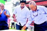 CCC School of Cricket Celebrates Anniversary
