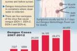 Public warned of  rains bringing possible dengue outbreak
