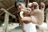 ‘Cashew Queen of Puttlam’ crowned Microfinance Film of 2013