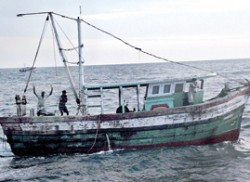 Tamil Nadu exports fish robbed from Lanka