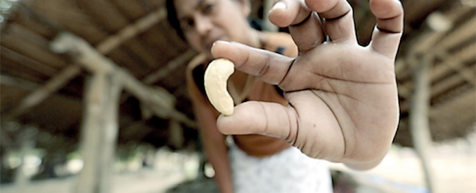 ‘Cashew Queen of Puttlam’ crowned Microfinance Film of 2013