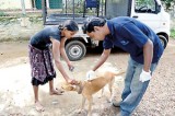 Help eradicate rabies in Sri Lanka by 2020 | World Rabies Day was on September 28