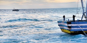 An Indian fishing boat engaged in Bottom Trawling, an internationally banned fishing method. Pic by Lakshman Gunathilaka