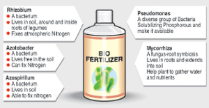 BioFertilizer