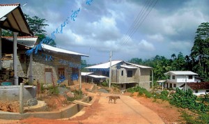 Four-new-houses-taking-shape-in-a-resettlment-site