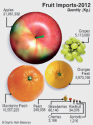Fruit-Graphic