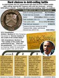 POLITICS: U.S. debt ceiling options