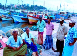 Massive cyclone hits eastern India, Lanka’s coastal areas on high alert
