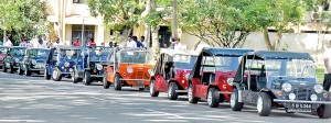 Mini rainbow: Owners line up their colourful cars. Pix by Nilan Maligaspe