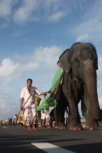 P1- KATUNAYAKE HIGHWAY