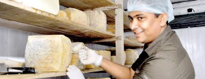 He knows them all: Jezeem with his cheeses at his Kandy workshop. Pix by Susantha Liyanawatte