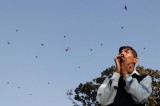 Nepal’s cawing ‘bird brother’ amazes crowds, raises awareness