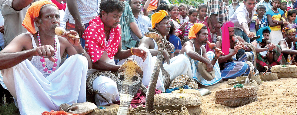 The-snake-charmers
