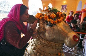 File photo of a Hindu devotee whispering her wishes in the ear of Nandi inside a temple during the Mahashivratri festival in Jammu