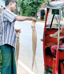 Many fish vendors switch to selling the 'buwallah' at this time of the year