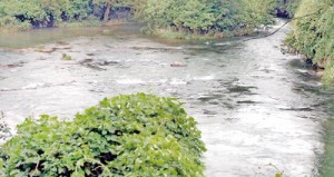 The miners say an association was formed a few years ago to protect  the environment and prevent erosion along the Sitawaka River.  Pix by Somachandra Yakandawala