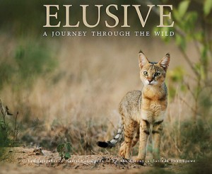 elusive-cover