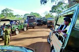 610 jeeps, 60 trackers – sum of one day’s tragedy for hunted Yala animals