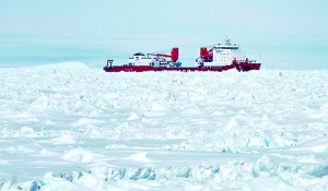 Xue Long, the Chinese icebreaker that went to the aid of a Russian ship stuck in heavy floes in Antarctica has now itself become trapped by ice (AFP PHOTO / FILES / Jessica Fitzpatrick / Australian Antarctic Division)