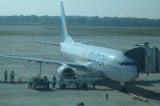 Panic as peacocks hit plane at MRIA