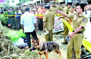 The dog Gero at the scene of the crime in Kotiyagala, Ingiriya and below right protests by residents and  monks. Pic by Nimali Kahawala