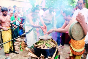 Thai Pongal celebrations last year